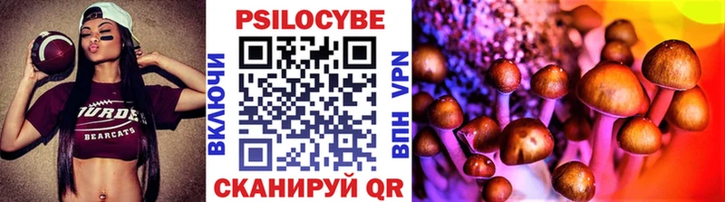 Купить где  Терек  Псилоцибиновые грибы Cubensis 